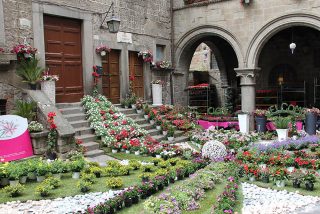 Ornamenti floreali San Pellegrino in Fiore